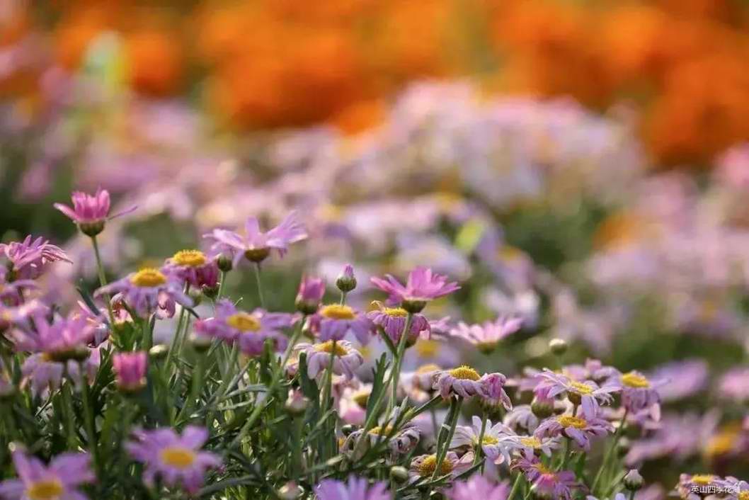 �@����һ���`�Ż����ˑB