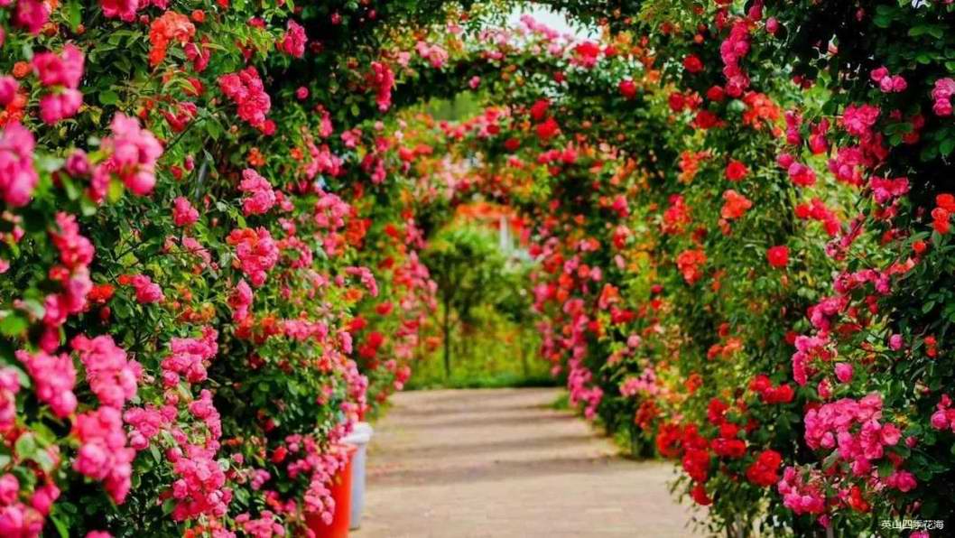 �ļ������@���p�����ԣ���������ȥ����~