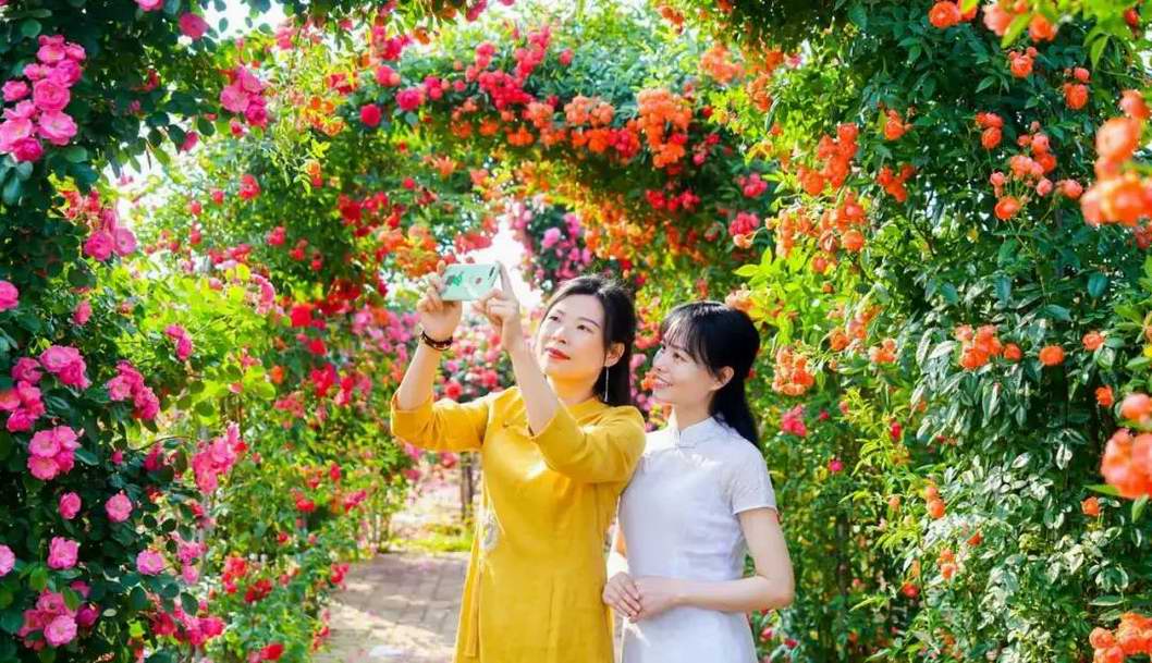 ĸ�H����һ������ô���@Ƭ�������������ĶY��