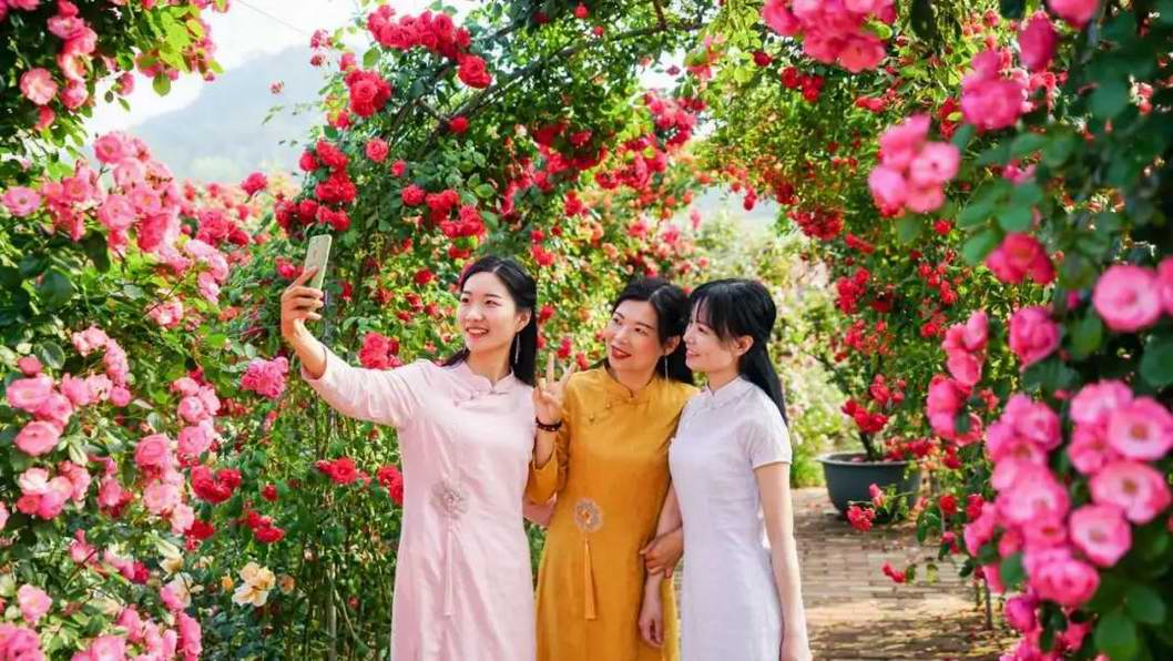 ����һ��С�L�� Ӣɽ�ļ��������^�Ӵ���ȫ����