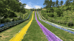 ��Ʊ�����ݣ����������һ���S�����^���ݻ����΁���