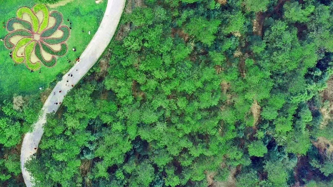 ɭ�ֿ��B��̎ȥ���ļ�����������