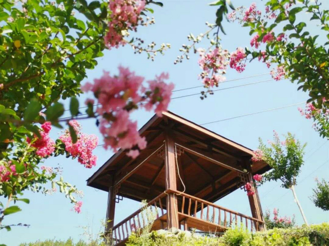 8��8��-12��31�գ�Ӣɽ�ļ��������^��ȫ���ο����TƱ�_��