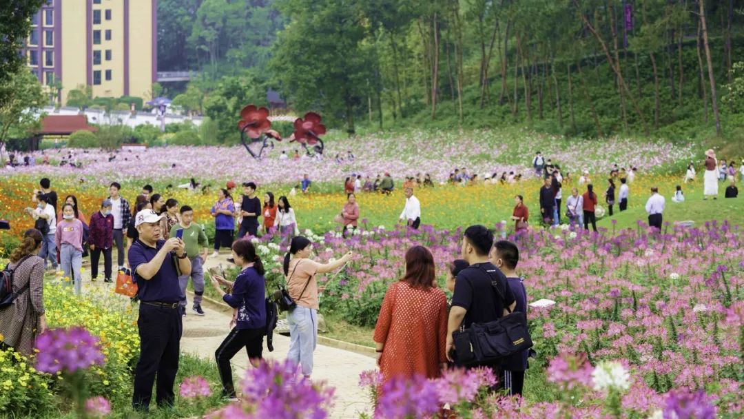 �h�˴��I�����˴��������ȫ�h