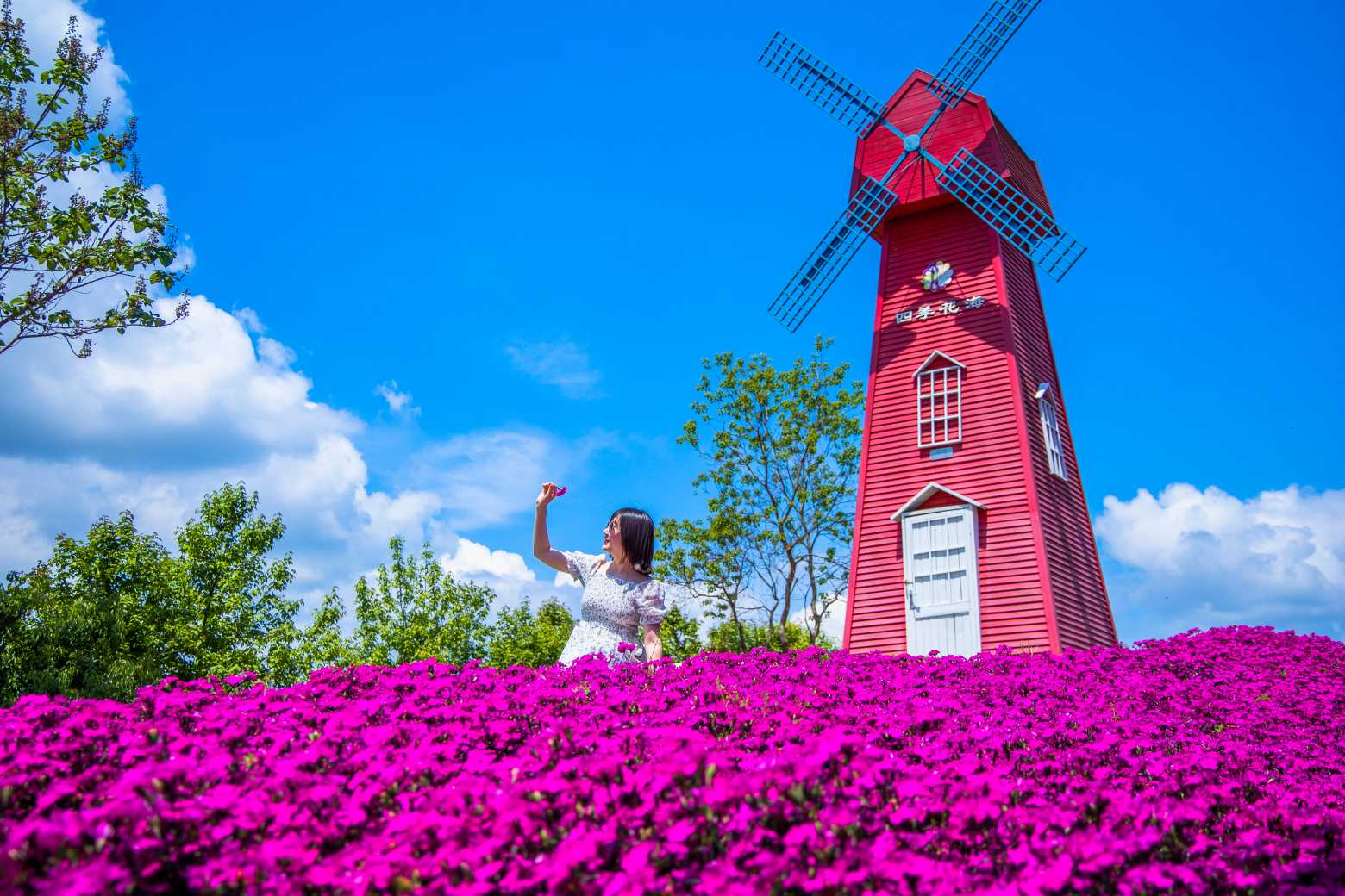 �ٻ��`�Ŵ��M�@ �����ļ������_�@������