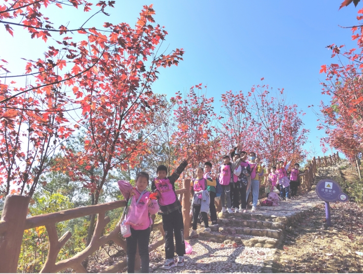 ������ɫ�ڻ��������μ���