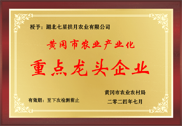 ����l�]ƽ�_����  �ӿ���ֲ�µĽ��I���L�c