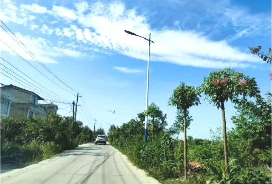 �@�������Ơ����������ڿp�p�a�a