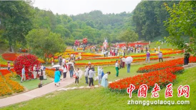 �����ļ��������󡰹�����������̽���c���`